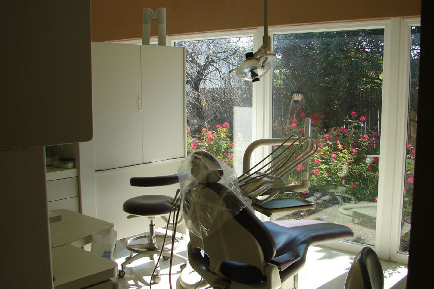 Dentist in Alabaster